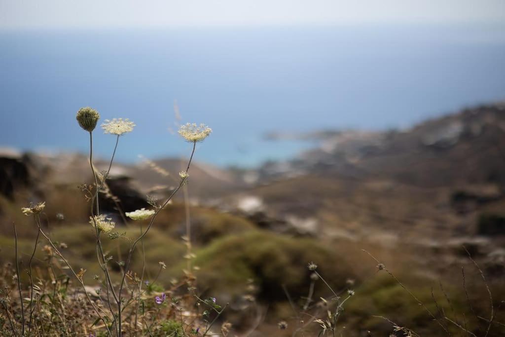 Kea 360 Villas- Dionysos Den Korissia  Luaran gambar